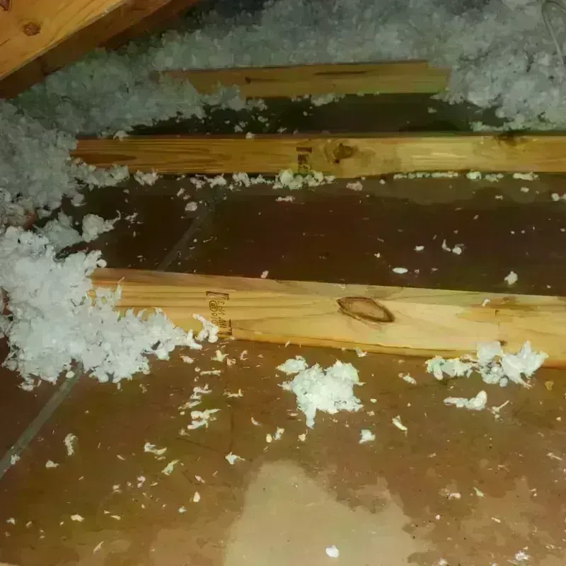 Attic Water Damage in Mount Hope, WV